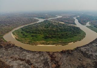 O Pantanal está apresentando sinais de recuperação