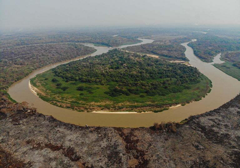 Pantanal Pantanal
