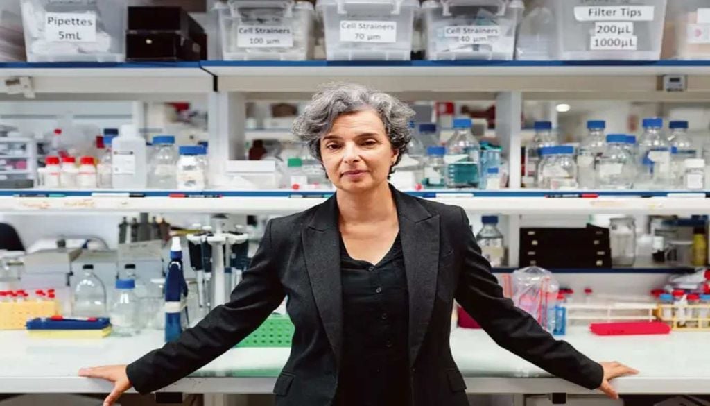 Maria Manuel Mota, cientista portuguesa, destaca-se pela sua investigação inovadora no combate à malária e pelo impacto na saúde global.