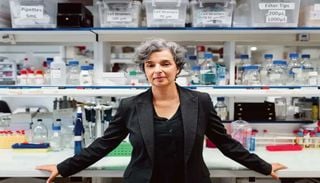 O papel de Maria Manuel Mota na ci&ecirc;ncia biom&eacute;dica contempor&acirc;nea
