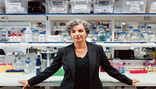 O papel de Maria Manuel Mota na ci&ecirc;ncia biom&eacute;dica contempor&acirc;nea