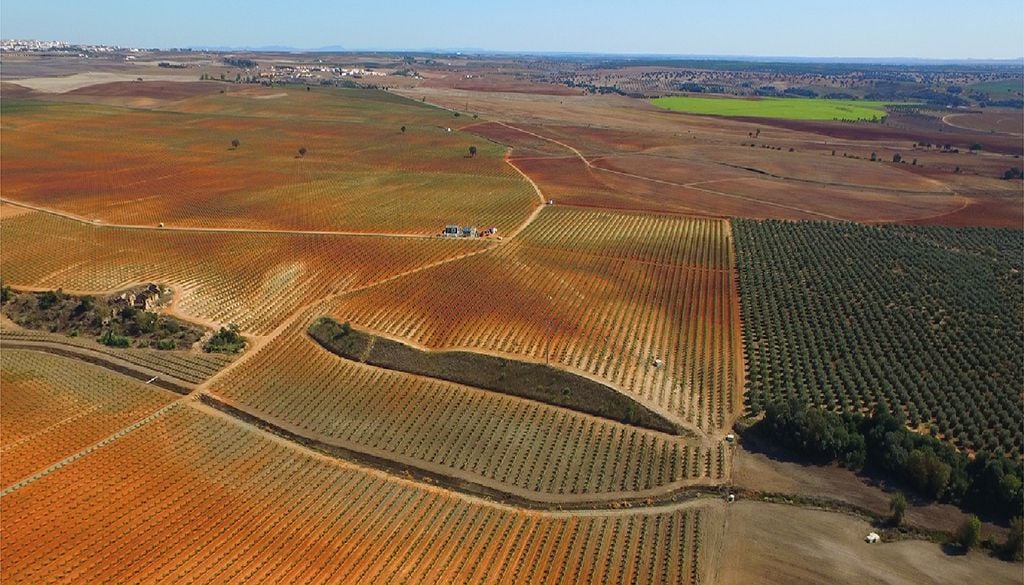Parte significativa das terras beneficiadas pelo Alqueva passou para as mãos de grandes investidores, tornando mais difícil a permanência dos pequenos agricultores. Foto: EDIA