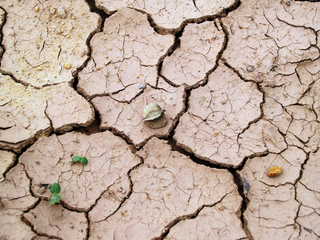 O processo de desertificação e seus perigos