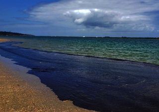 O que as correntes marinhas nos contam sobre o óleo no litoral?