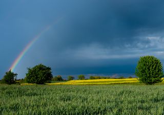 O que esperar da distribuição da precipitação em Dezembro de 2020?