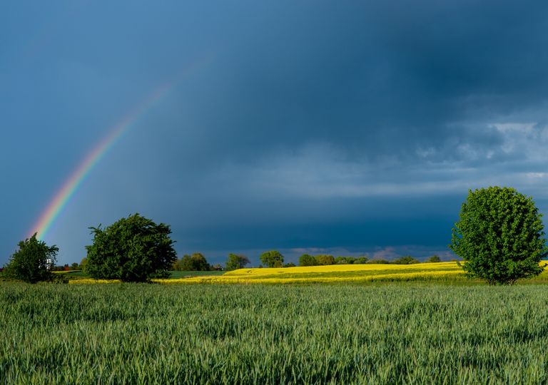 clima Dezembro, La Niña clima Dezembro, La Niña