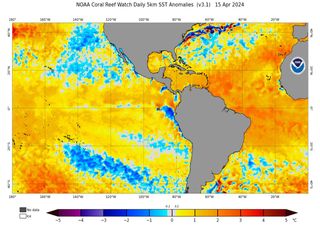 O clima em Maio, Junho e Julho no Nordeste: Será que as chuvas volumosas vão continuar?