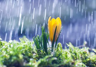 O que esperar do clima no início da estação chuvosa no Brasil?