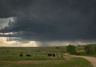 O que esperar para a segunda quinzena de março?