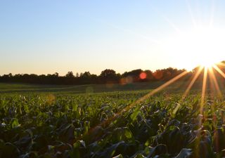Previsão climática para Dezembro
