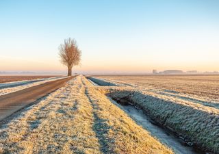 O que esperar para o mês de Julho de 2020?