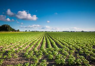 O que esperar para o mês de Novembro?