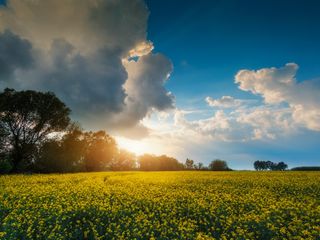 O que esperar para o mês de Outubro?