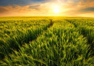 O que esperar para Setembro de 2020?