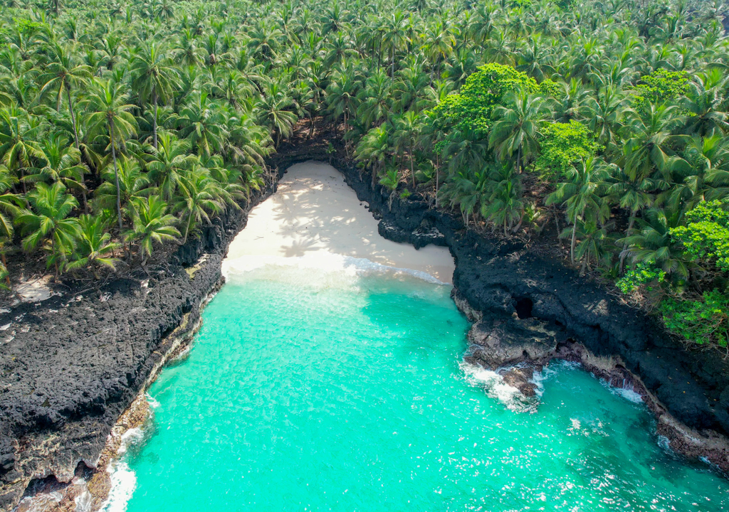 O Príncipe tem uma das maiores taxas de endemismo do mundo por quilómetro quadrado, quase 40 espécies de plantas e animais não existem em mais lado nenhum.