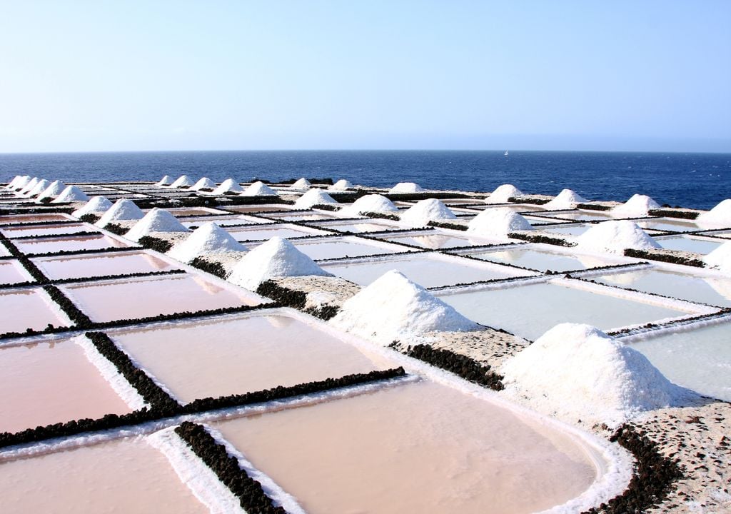 Salinas Salinas