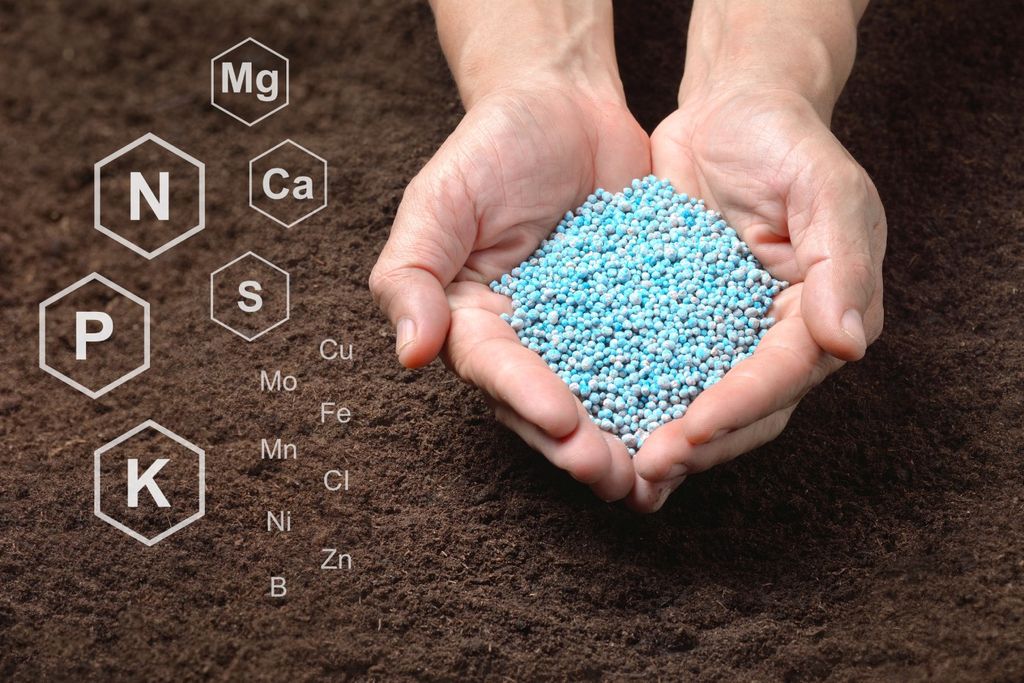 Fertilizantes, adubo, nitrogênio