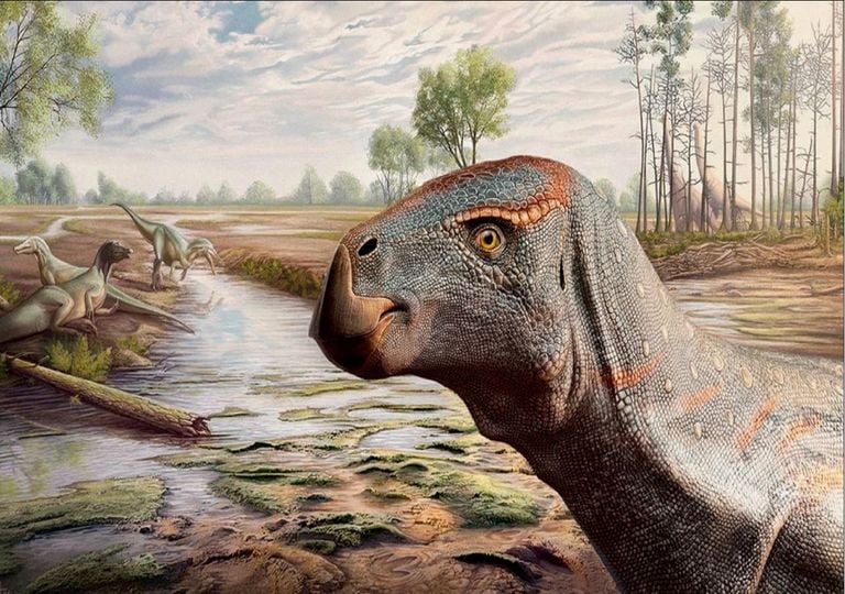 O seu nome é Bocage e é uma nova espécie de dinossauro descoberta em Portugal