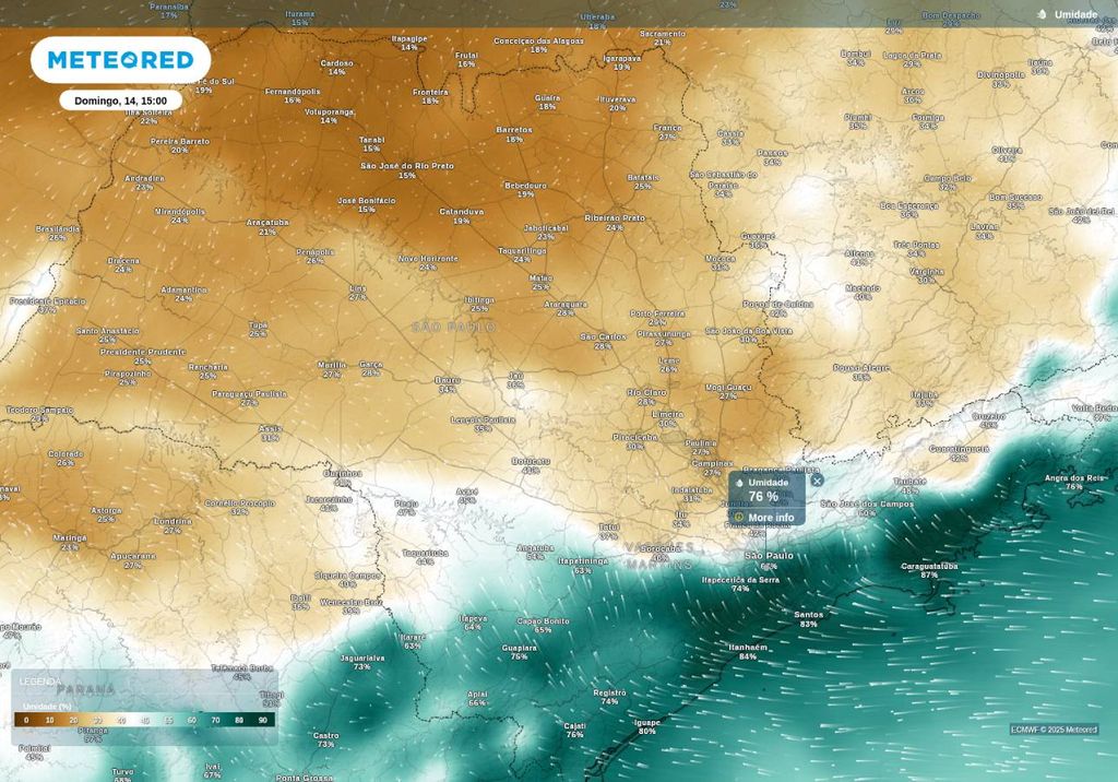 Previsão de umidade relativa do ar neste domingo (14), de acordo com o ECMWF.