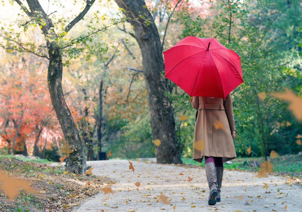 outono; chuva; frio; guarda-chuva; outubro
