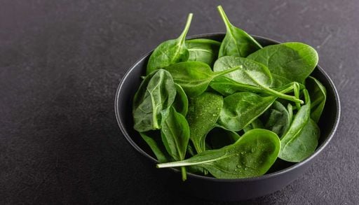 O verde de setembro: o segredo para o cultivo dos espinafres em Portugal