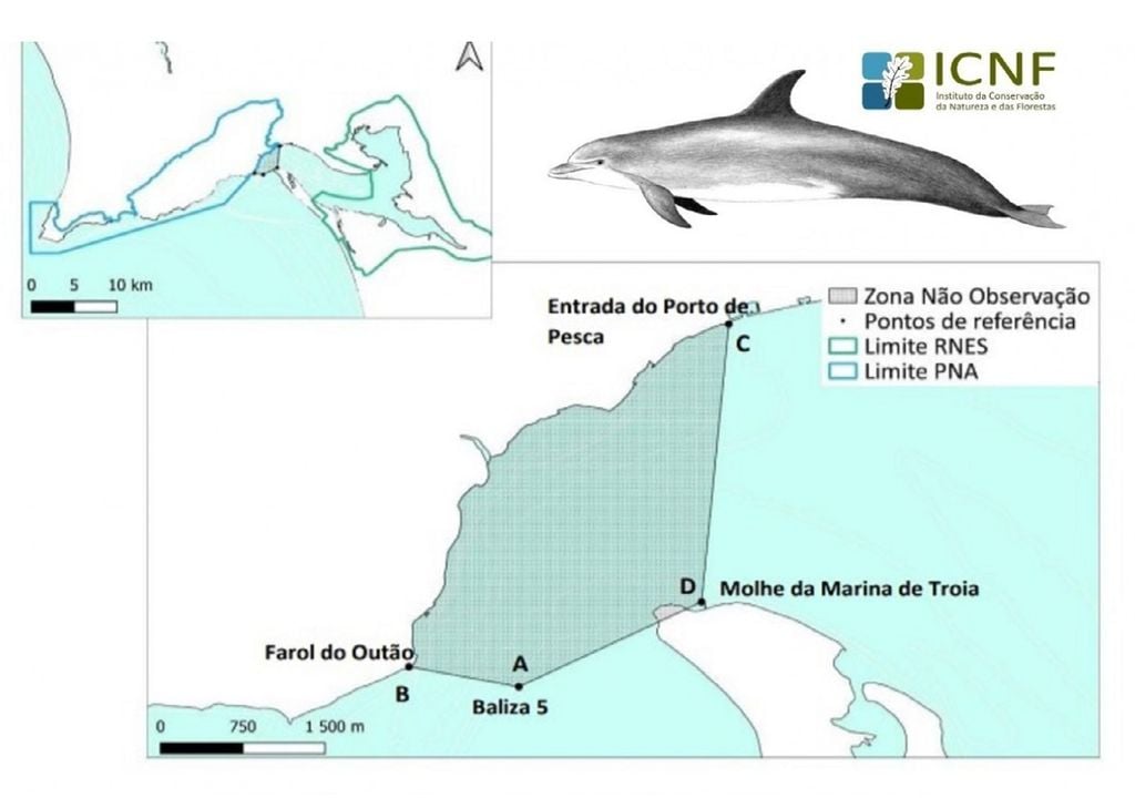 Demarcação da zona condicionada à observação dos golfinhos no Sado Demarcação da zona condicionada à observação dos golfinhos no Sado
