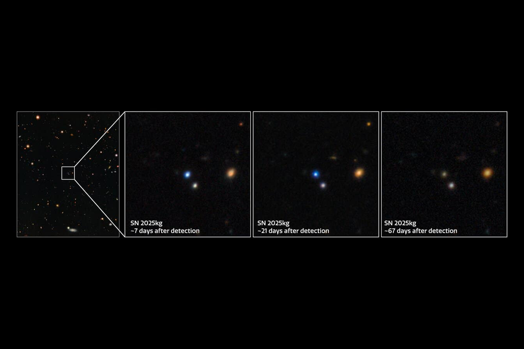 Observações durante dias e semanas mostrou o comportamento e a evolução do sinal obtido em diferentes comprimentos de onda. Crédito: Gemini/NOIRLab Observações durante dias e semanas mostrou o comportamento e a evolução do sinal obtido em diferentes comprimentos de onda. Crédito: Gemini/NOIRLab