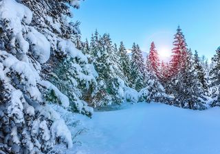 Gennaio 2021, possibilità di importanti ondate di freddo?