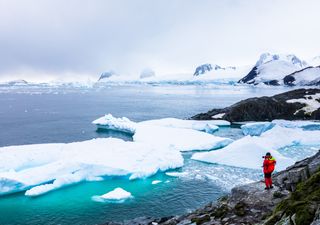  Oceano Antártico absorve 2 bilhões de toneladas de CO2 ao ano 