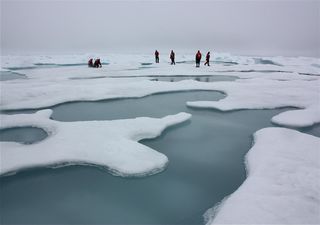 Océano Ártico se quedará sin hielo en 2030: las consecuencias peligrosas y dañinas que esto traerá a la Tierra