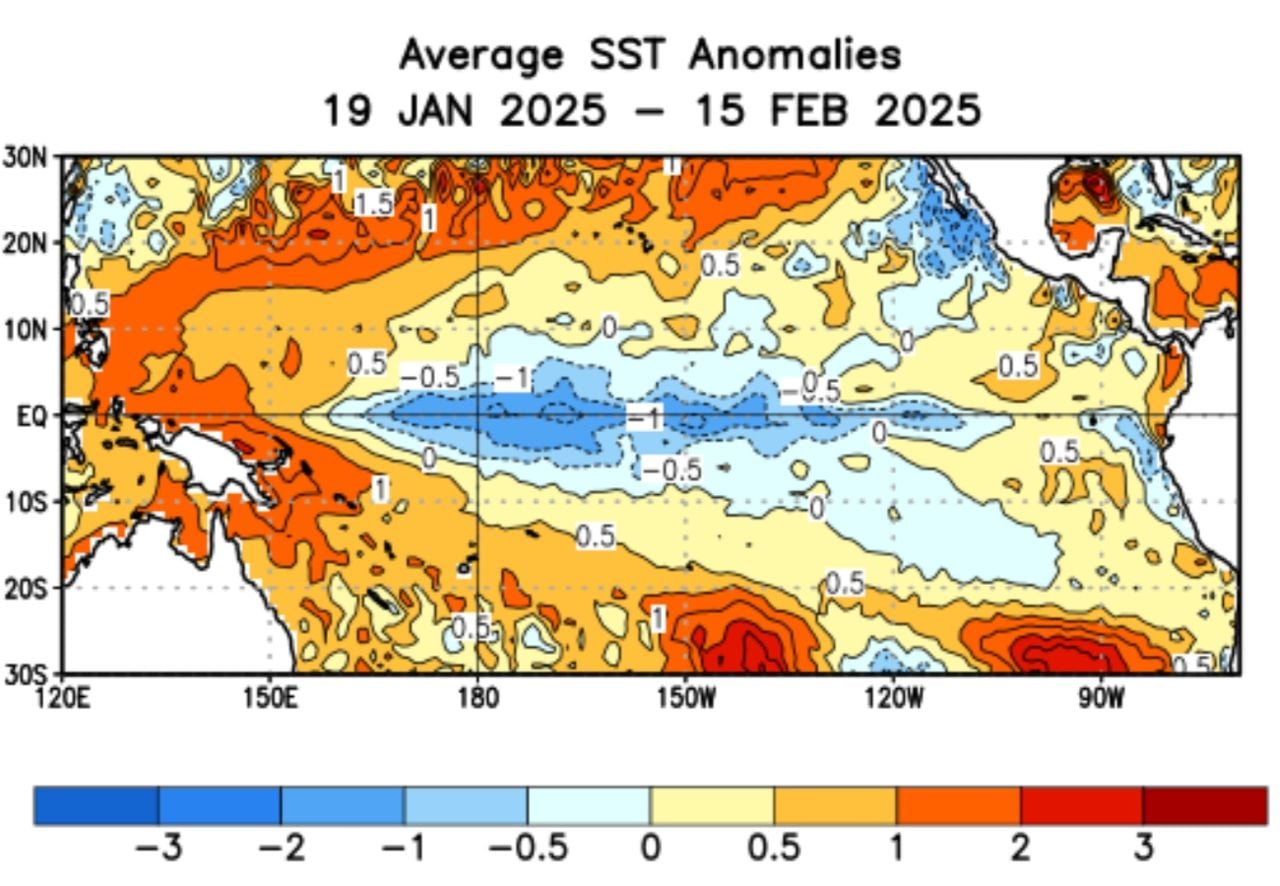 Anomalía de la temperatura superficial del mar observada durante las últimas 4 semanas (entre el 19 de enero y el 15 de febrero), destacando el enfriamiento del Océano Pacífico tropical central (en azul) y el calentamiento del sector oriental (en naranja). Fuente: CPC/NOAA.