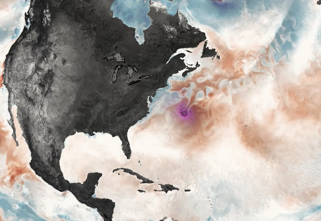 Imagen de una simulación de la velocidad del viento superficial y el flujo de dióxido de carbono entre el aire y el mar con el modelo Icon. El vórtice morado indica la posición del huracán. Durante e inmediatamente después del huracán, el océano libera dióxido de carbono (color rojo). En las regiones azules, el océano absorbe dióxido de carbono. © DKRZ/MPI-M/UHH