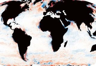 Oceanos estão escurecendo e ameaçam a vida marinha, alertam cientistas