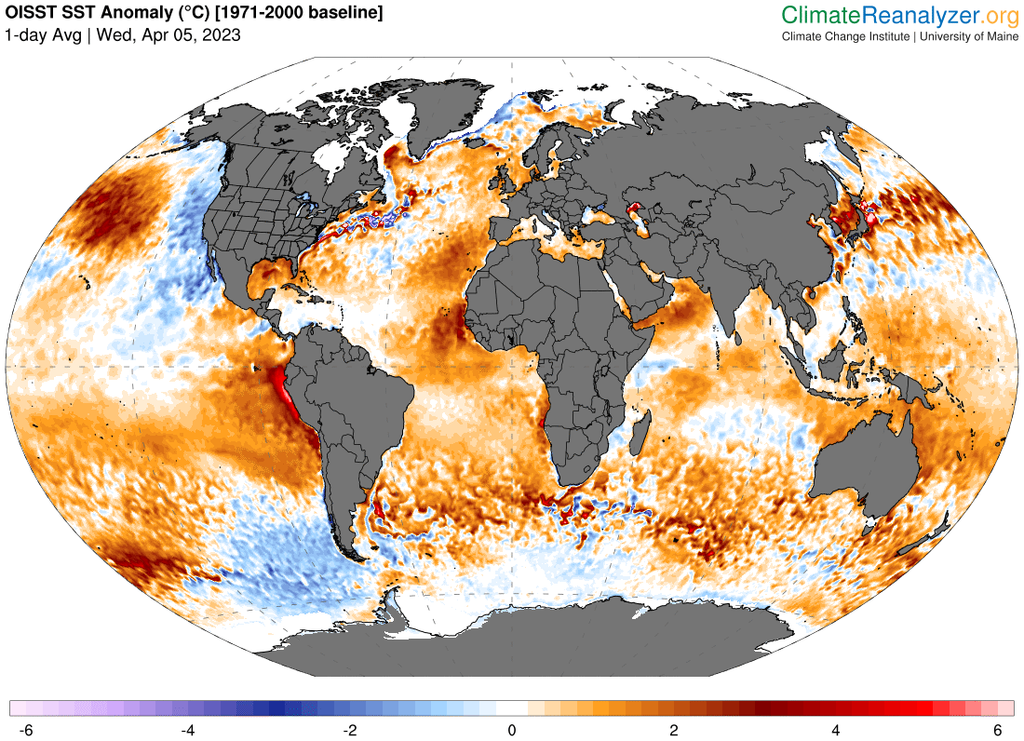 Anomalies de température de surface de l'eau de mer avec des anomalies froides/chaudes dans les teintes bleues/rouges pour le 5 avril 2023. ClimateReanalyzer.