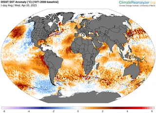 Los océanos alcanzan temperaturas nunca observadas en la época moderna