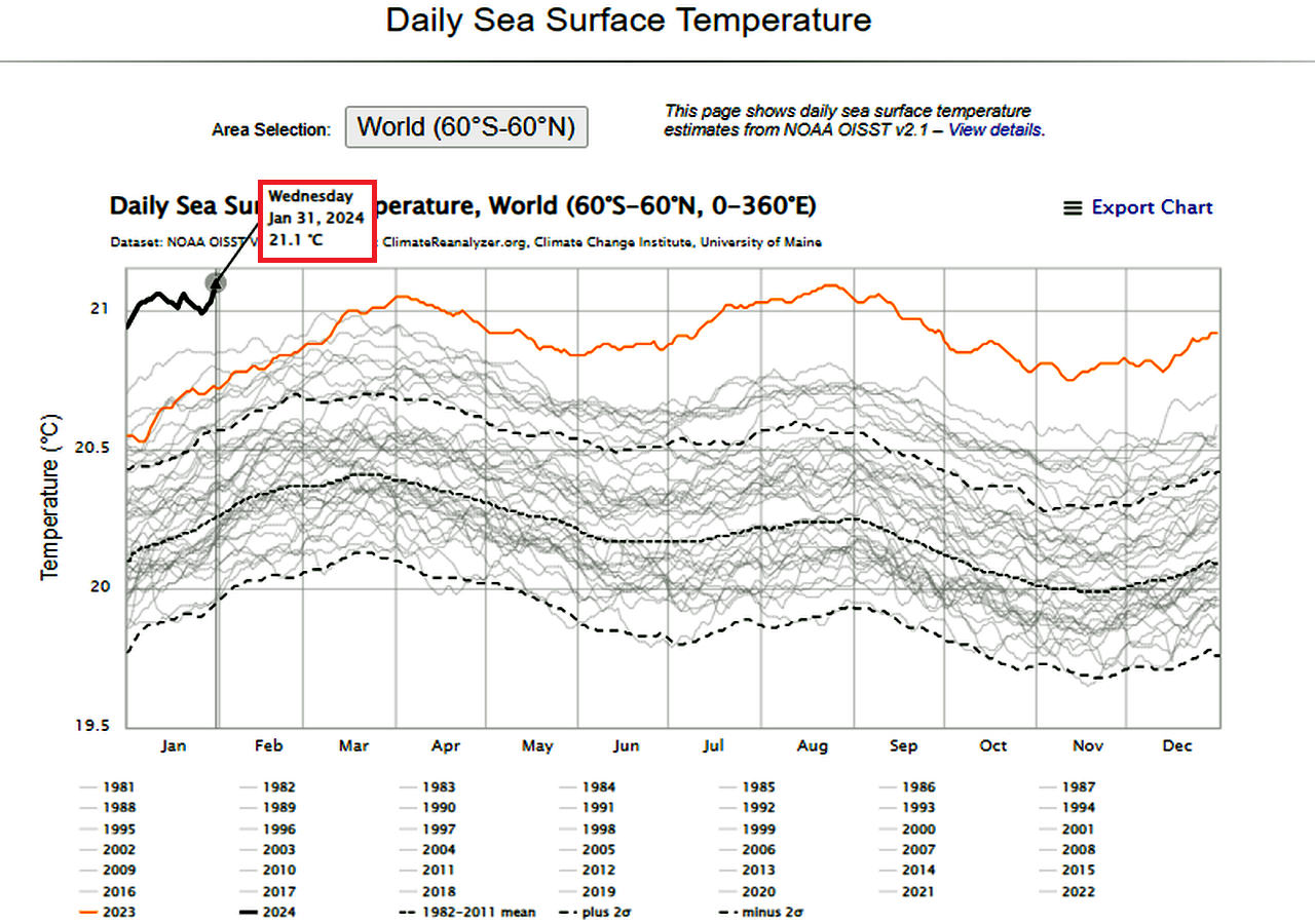 Evolución global de las anomalías de la temperatura del agua de los océanos por años y meses, destacando el valor alcanzado el 31 de enero de 2024 con 21,1 ºC. Climate Reanalyzer.