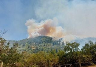 Onemi declara cuatro comunas en alerta roja por incendios forestales