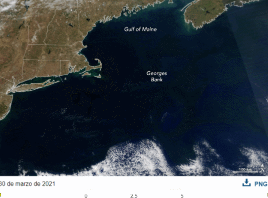 Ocultos a plena vista