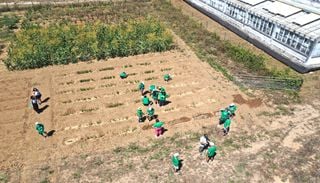 Oeiras Experimenta abre a investiga&ccedil;&atilde;o agr&iacute;cola &agrave; comunidade para enfrentar a seca e o calor