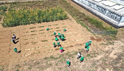 Oeiras Experimenta abre a investiga&ccedil;&atilde;o agr&iacute;cola &agrave; comunidade para enfrentar a seca e o calor