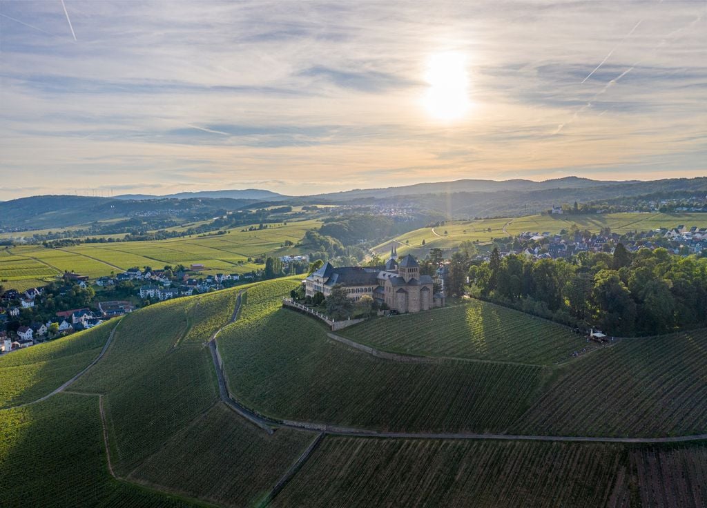 Le domaine de Schloss Johannisberg bénéficie d'un ensoleillement exceptionnel en Allemagne. Le domaine de Schloss Johannisberg bénéficie d'un ensoleillement exceptionnel en Allemagne.