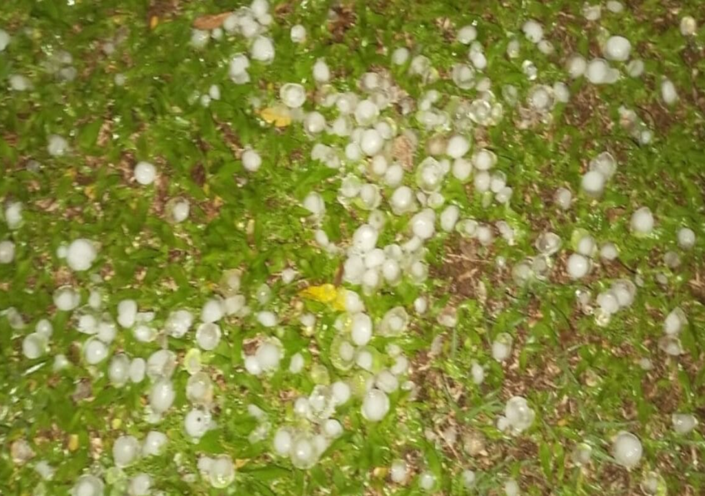 Comunidades rurais de SC foram duramente atingidas por chuva com granizo