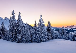 Oggi è il giorno del solstizio d'inverno, la notte più lunga dell'anno