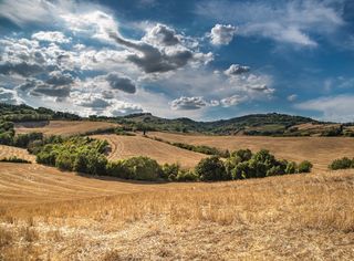 Oggi il solstizio, benvenuta Estate: ecco qualche curiosità