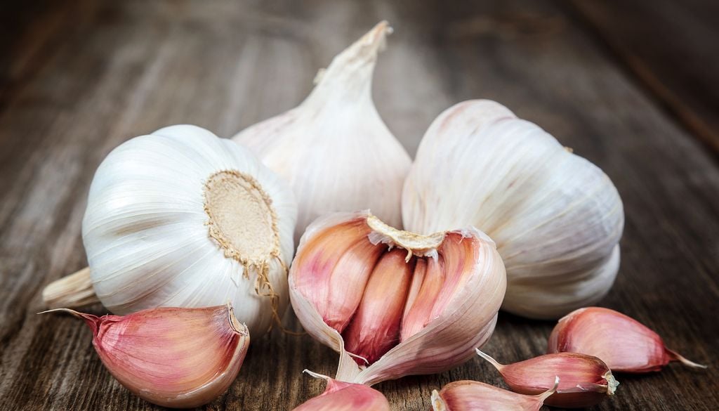 Der intensive Geruch des Knoblauchs vertreibt die Ameisen