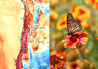 Ojo con el calor: DMC advierte que Atacama vivirá un “veranito express” antes de que acabe septiembre