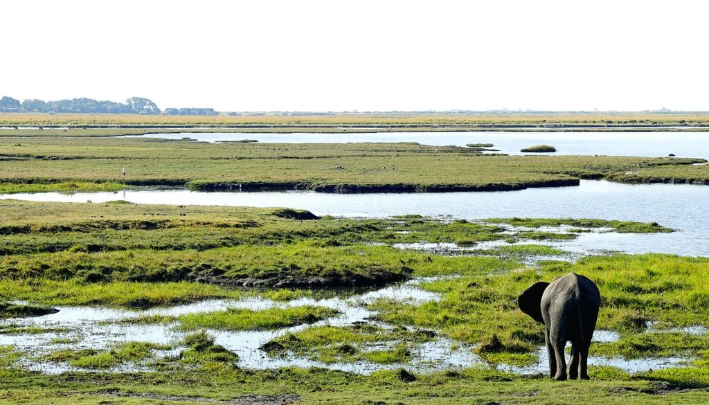 Este espacio natural es el hábitat de miles de animales que encuentran en este río y su delta un oasis perfecto.