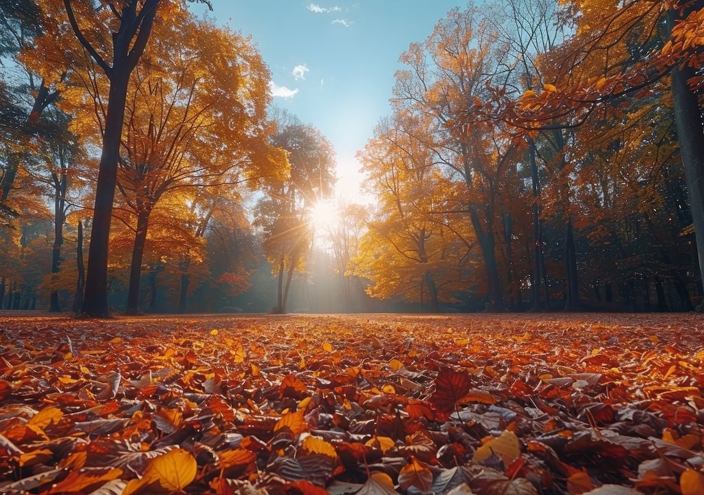 Herbstsonne, Oktoberlandschaft, Licht