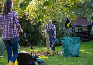 Oktober-Gartenarbeiten: Diese Dinge müssen jetzt erledigt werden, um deinen Garten winterfest zu machen