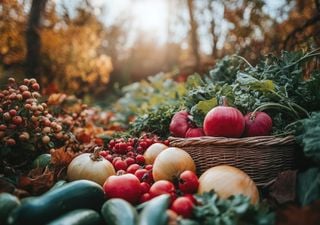 Oktober im Garten: Letzte Ernte und neue Chancen – Gemüse für die kalte Jahreszeit